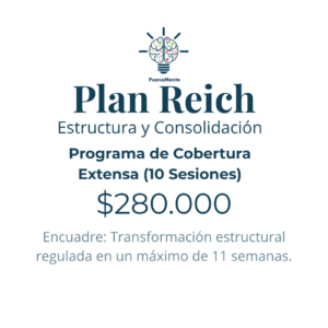 Programa Estructurado: Plan Reich; Estructura y Consolidación