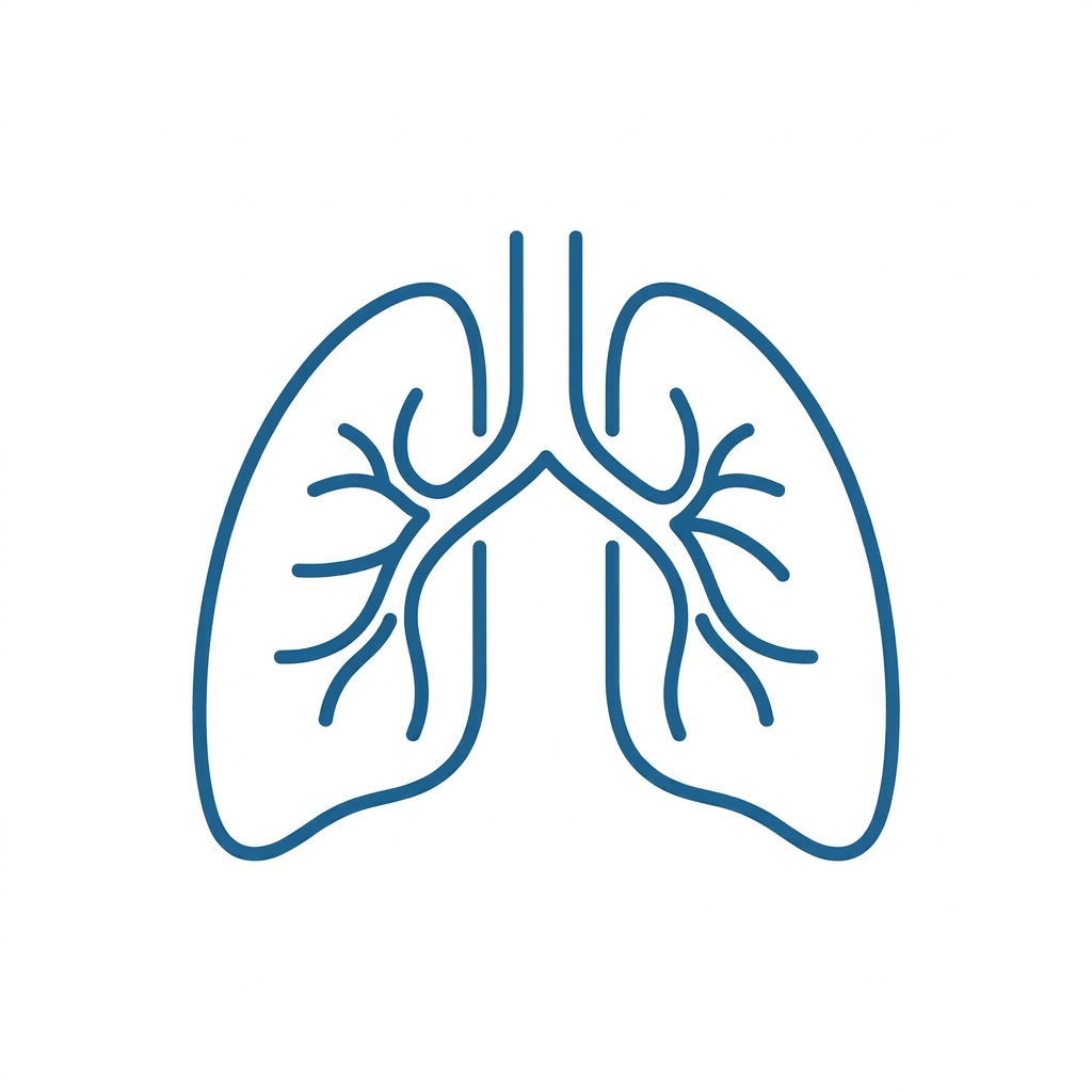 Stylized lungs with a meditating person inside symbolizing mindful breathing and emotional regulation